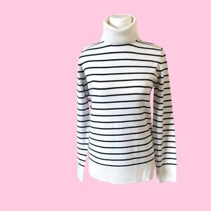 French Connection / Border Turtleneck Sweater